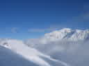 IMG_2245.jpg
